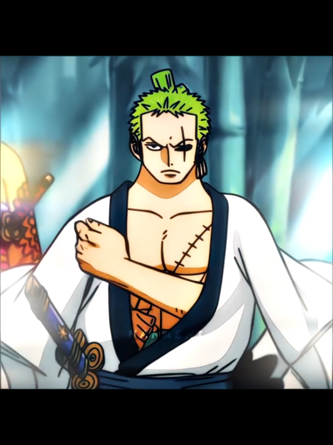 Right hand of pirate king for reason !   #zoro #onepiece #onepieceanime #paratí #luffy 