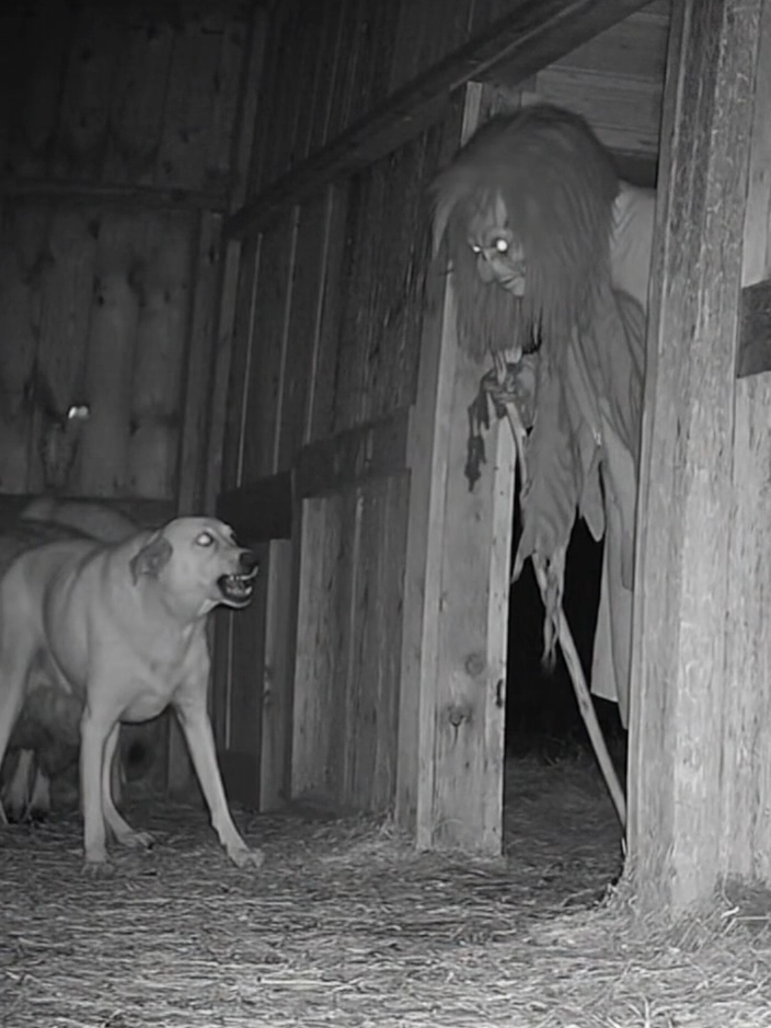 She looks like the monster from the old fairy tales! 💀🧙‍♀️ #FairyTaleHorror #Unreal #horror #scary #Cruel 