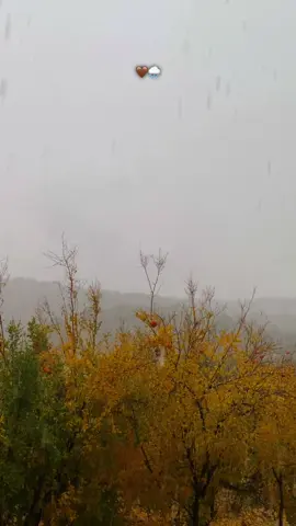 🤎🌧️🫠…#fypシ #viral #tiktok #foryou #selwa🦋 