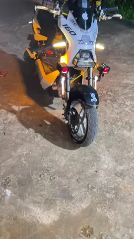 háo hức chờ tết quá🧧#xuhuongtiktok #pyf #xediendo 