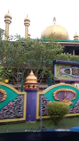 losss plosss. pusat. 🙏🙏🇮🇩🇮🇩🇪🇭🇪🇭🇪🇭🇪🇭