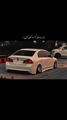 تیرے بغیر گزارا کوئی نہیں۔🥹🥀#1millionaudition #aesthetic #foryou #foryoupage #poetrystatus 