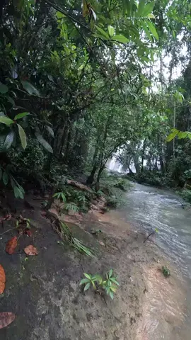 explore air terjun km 58 yang ada di tengah hutan kalimantan #kalimantantimur #kutaitimur #camping 