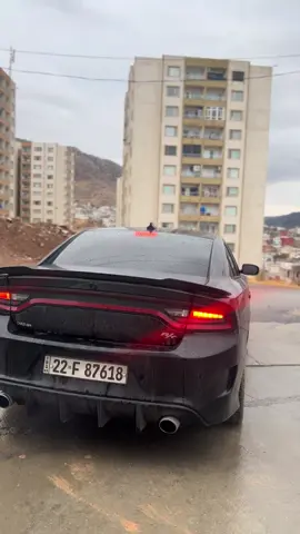 RT 🔥🫀#dohok #erbil #zaxo #dubai #اربيل 