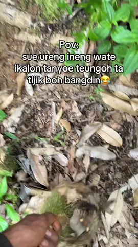 Bukon ata bang dek eukk😂#fyp #duria #durian #durianruntuh 