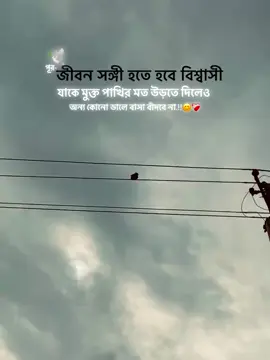 জীবন সঙ্গী.                                    #🙂 #yyyyyyyyyyyyyyyyyy #pppppppppppppppp #foryou #viralvideo 