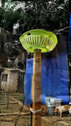 mufti tarik masod ❤️. #MuftiTariqMasood #TariqMasoodBayan #IslamicScholar #DeeniBayan #IslamicLectures 