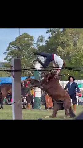 Gineteada é Cultura #horse 