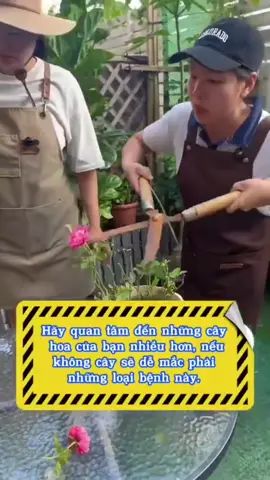 Chăm sóc hoa hồng#tuoicaytudong #xuhuongtiktok 