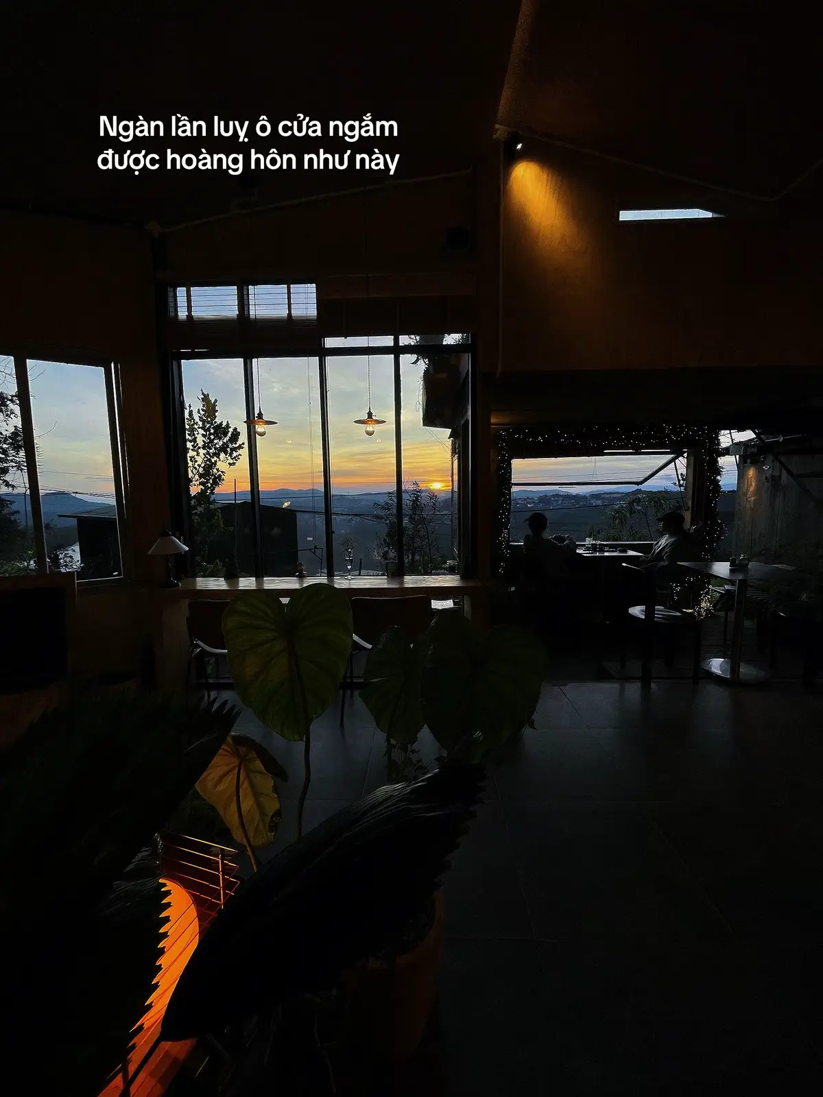 #dalat #dalatdidau #dalatvibes #dalattrip #dalatcoffee #dalatchill #hongbietdidau 