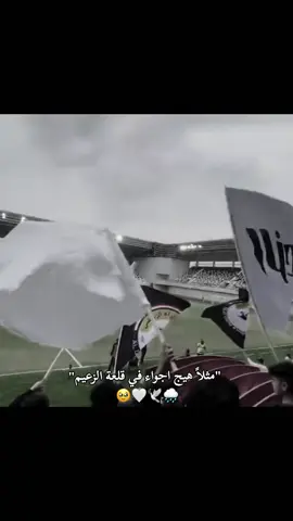 اجمل مكان 🥹🤍🕊️. #زوراء_حياة🤍🕊  #زوراء_زعيم🤍🕊️ #زوراء_قصة_عشق_لاتنتهي🕊️🤍 