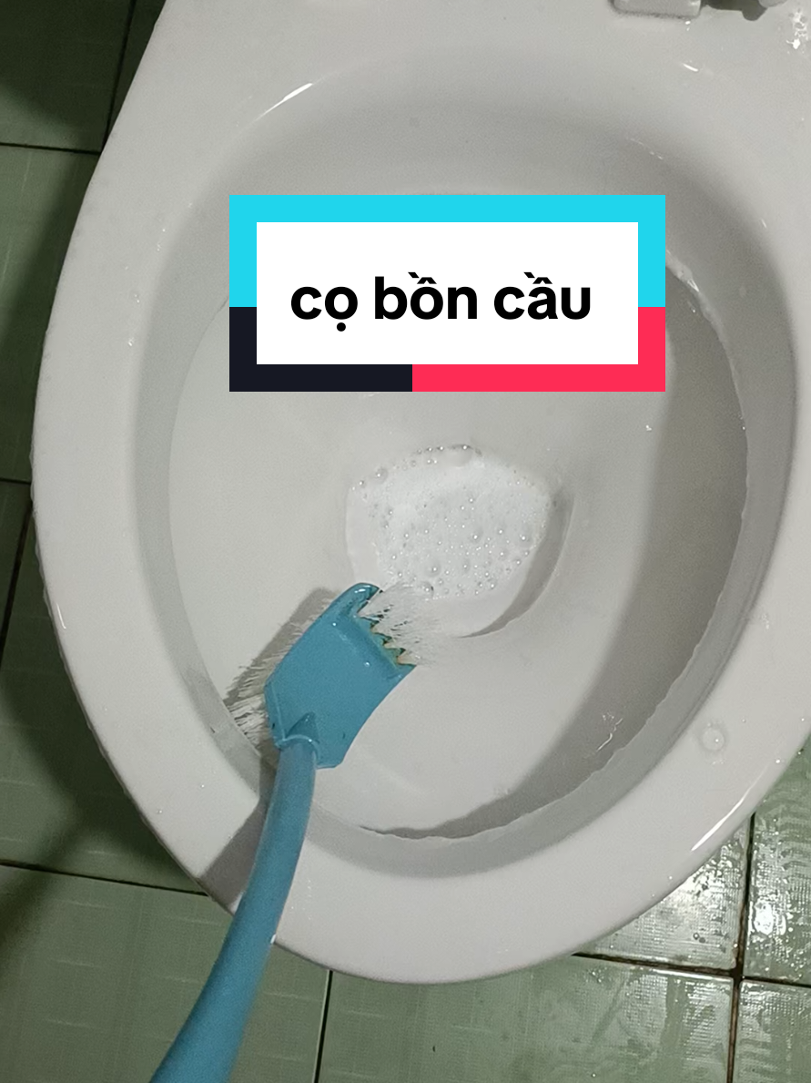 Cọ bồn cầu 2 đầu săn có mấy đồng thôi các bác  coboncau2dau 