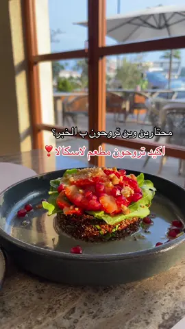 مطعم لاسكالا منيو متنوع عائلي وفخم ❣️#ترند #explore #اكسبلور #fyp #الشعب_الصيني_ماله_حل😂😂 