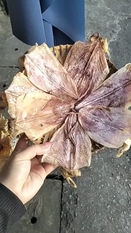 khô mực ngon quá luôn #🍀trinhtrinh🍀 #khomuc #khomucngon 