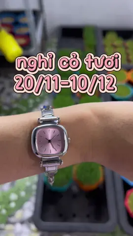 sắp off dài dài ạ #meohoangdep 