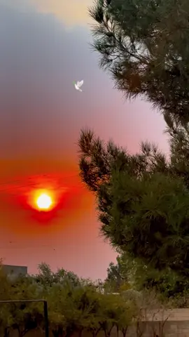 Yokmu yürek yakan sözleriniz #acılıhikayeler #hüzünlüvideolar #anlamlısözler #fyp 