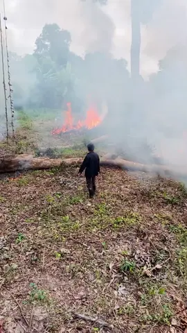 Burning it all  #worksmarternotharder #freedom #life #djineo2 #farming 