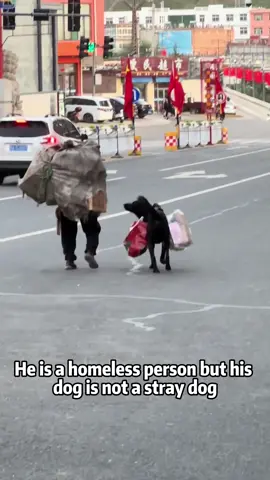 When everyone else walked away,my dog stayed #Love #dog #homeless #doglover #foryou 