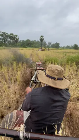 ហត់តែសប្បាយជីវិតកូនអ្នកស្រែ🌾#ជីវិតកូនអ្នកស្រែ #ស្រលាញ់ការរាប់អាន🔰🚥🚚🔰 #ព្រះវិហារផ្ទះខ្ញុំ🏠❤🖤 