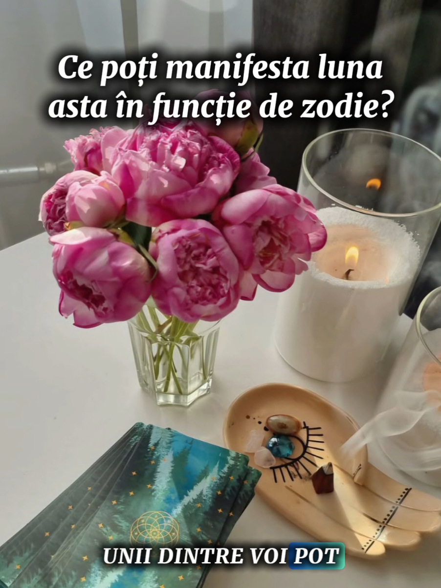 #noiembrie #manifestation #iubire #banii #tarot 