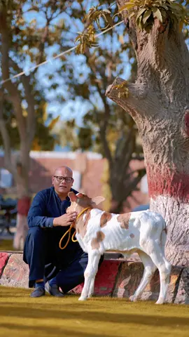 Aane Wale Waqt Ko Kyun Sochte Ho? 🤔✨ #RameezTariq86 #RTKhan #BTFarm