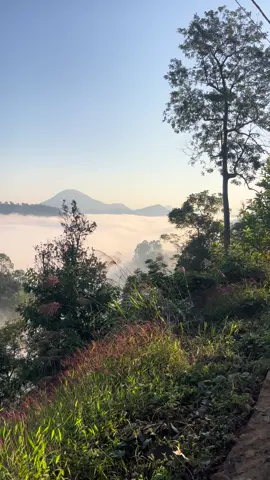 Nếu muốn ngắm view mây triệu đô ở Lạng Sơn mời các bạn đặt lịch với mình ngay 😍 #sanmay #langson #fyp 