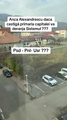 Anca Alexandrescu primarul capitalei #primar #ancaalexandrescu #realitatea #fipppppppppppppppppppppppppppppppp #fyp 