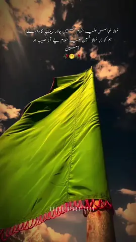 Ameen🤲🏻🕊️❤️‍🩹#imam #yahussain #foryoupageofficiall #views #shia #shia #yahussainعُ🙏🏻🚩🚩 #یاعلی_مدد #yaabbas #کربلا #hussainiboy1214 #foryoupage #viralvedio #yaallah #1m #shia #bibifatimazahraص #yahussain 