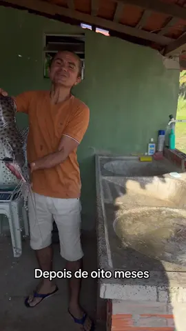 Qual vai ser o peso do peixe #sitiolagoverde #tiktok 