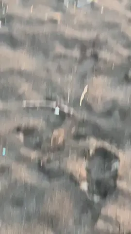 sunset after rain memang seindah ituu😁#pantaicangkring #jogja24jam #pantaiselatan 