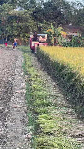 @🦋ɪꜱᴍ̷ᴀɪʟ_🦋 @ব্রাহ্মণবাড়িয়ার ছেলে আমি @KING👑👑 @💔💔Ahamed Mamun💔💔 