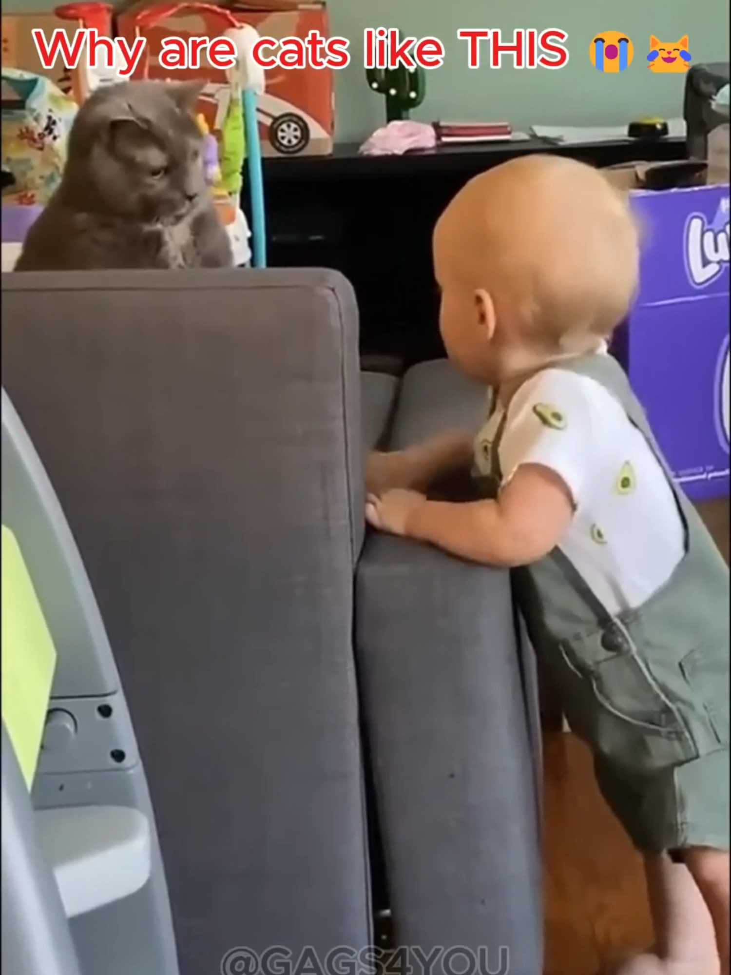 Kids trying to live their lives… and cats saying ‘absolutely NOT’ 😹 These chaotic duos never fail to make me laugh! #catsandkids #funnycats #catfails #kidfails #catsoftiktok #funnyanimals #PetsOfTikTok #cuteandfunny #fyp #foryou
