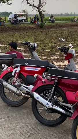 lokalan jeporo #c70 #c70indonesia #c70nataaa #pitunggank🤙 