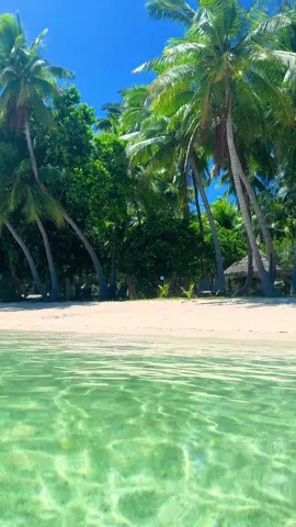 Je me suis réveillée dans une carte postale 😍🏝️ #fiji #fidji #island #tropical #landscape 