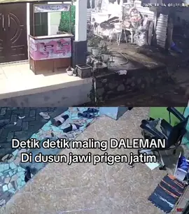 Jane kalian nyolong kotang kingar opo rek 