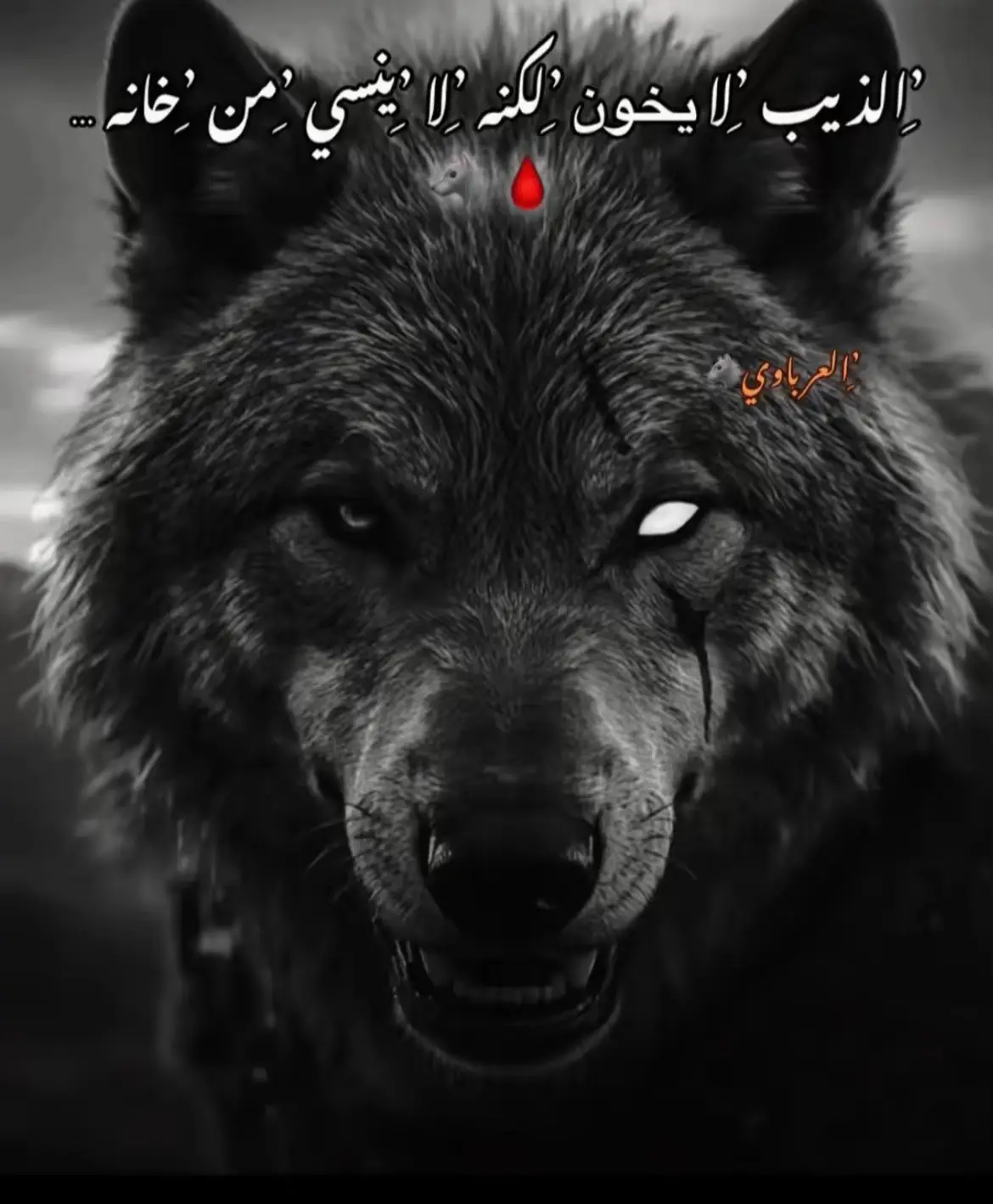 #🦅سفينه_البلد🦅 