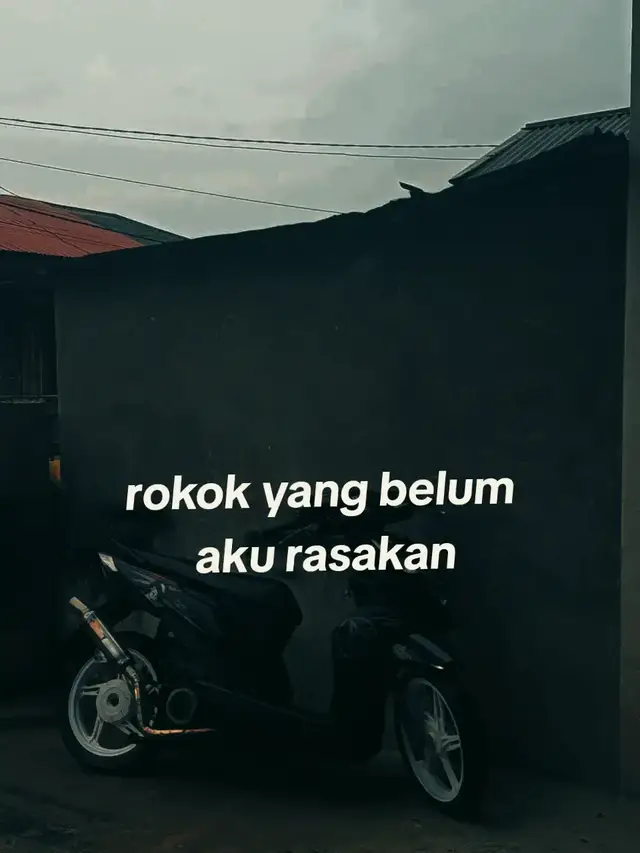 rokok yang belum saya rasakan. 🫤 #fyp #rokok 