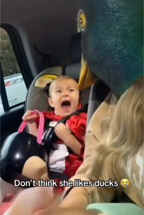 Oh haha,Poor baby😂😂😂#fyppppppppppppppppppppppp #funnyvideos #funnybaby #laugh #babysoftiktok 