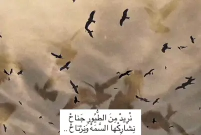 #كريم_منصور  🔄