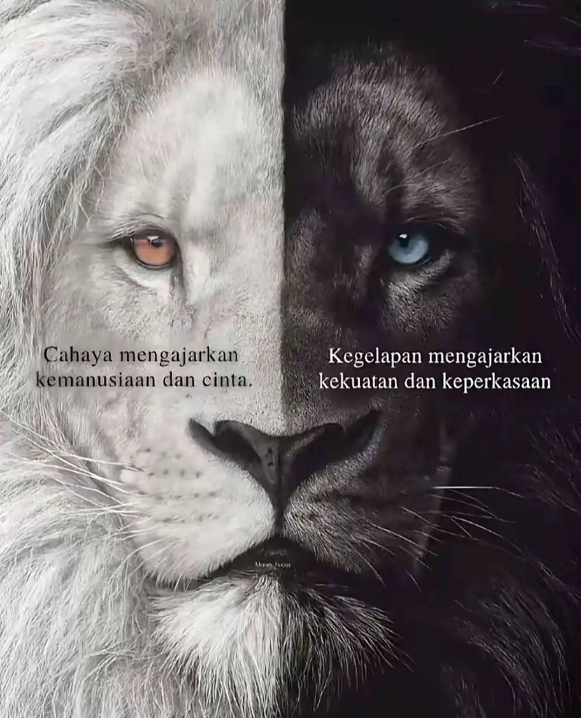 #ppppppppppppppppppp 