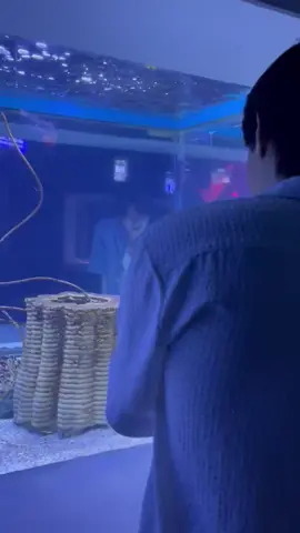 ช่วงจีบ #เติ้ลเฟิร์สวัน #TleFirstone #tle_mtm #Firstone 