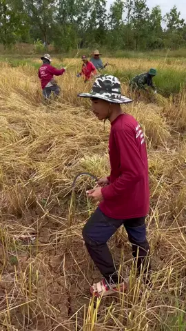 ช่วยเต็มที่ครับ💪💪✌️✌️