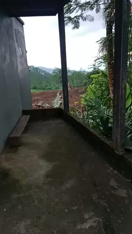 kec pandanarum kel pandanarum kab banjarnegara desa situkung ws rata karo lemah