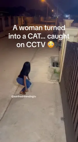 CCTV caught it… Woman transforms into a CAT at night 😳🐈‍⬛🔥 This mystery is wild! #C#CaughtOnCCTVR#RealLifeMysteryT#TransformationVideoA#AfricaTrendingViralVideo2025