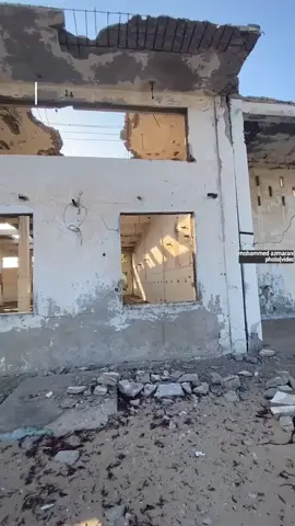 warshadii kalluunka ee laasqoray  #laasqoray#sanaag#somalia🇸🇴 #somalitiktok#garowe_puntland_🇸🇱🇸🇱 