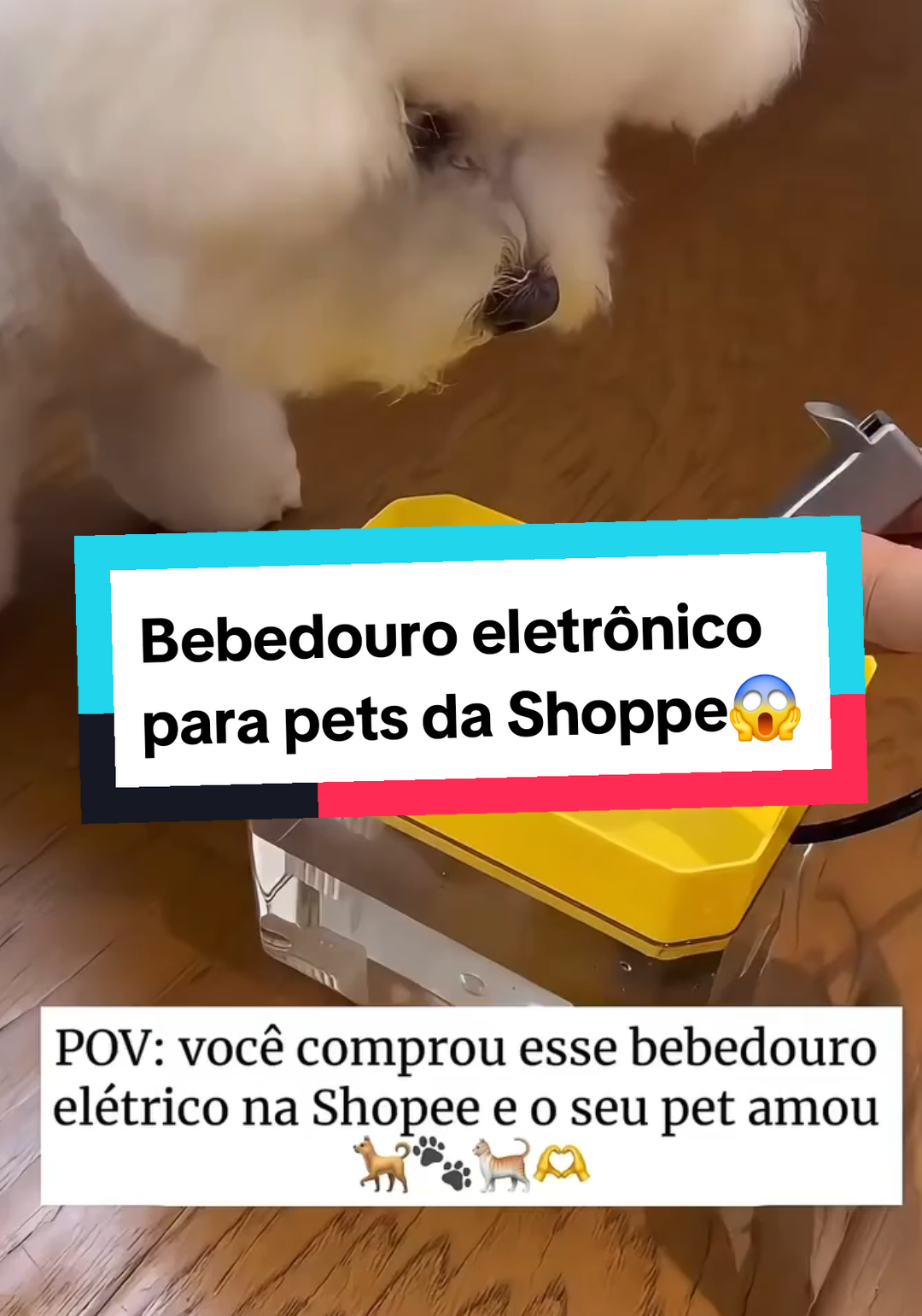 *Bebedouro Fonte de Água Elevado Automático: A Solução Perfeita para Seu Pet!* - *Capacidade: 1.5 Litros* - *Filtro de 3 estágios para água limpa e fresca* - *Automático e fácil de usar* - *Elevado para conforto do seu pet* - *Ideal para cães e gatos* *Compre agora e dê água fresca ao seu pet!* #Pet #Bebedouro #ÁguaFresca #FiltroDeÁgua #Automático @Gabriel Oliveira👨‍💻 @Gabriel Oliveira👨‍💻 @Gabriel Oliveira👨‍💻 