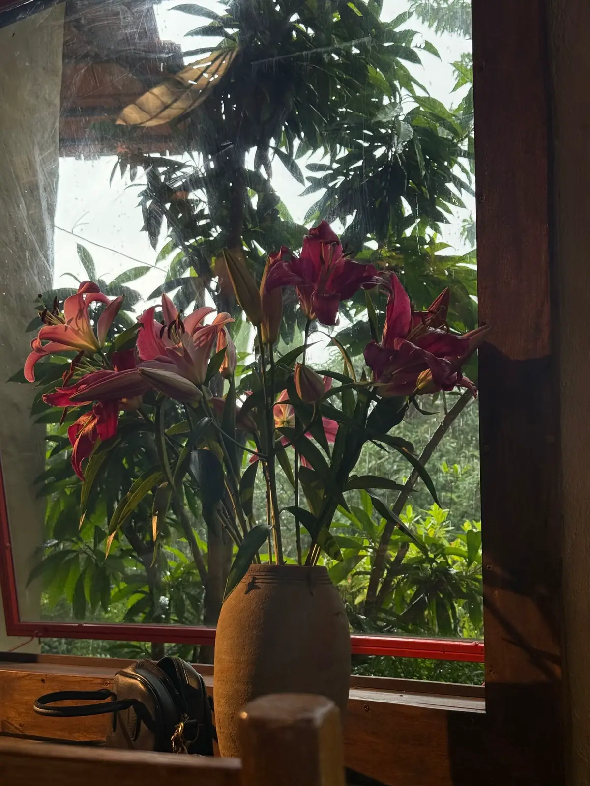 🍃#intopeacetravinh 