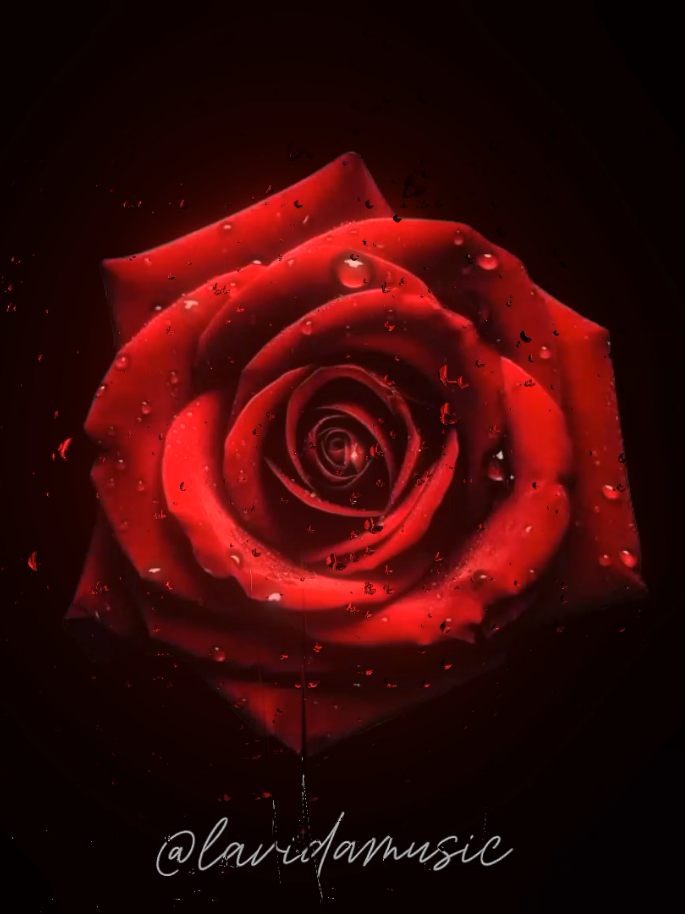 WRONG #lyrics #songs #music @𝐅𝐚𝐲𝐲𝐳𝐚 𝐀𝐥𝐬𝐚𝐲𝐞𝐝✍ 