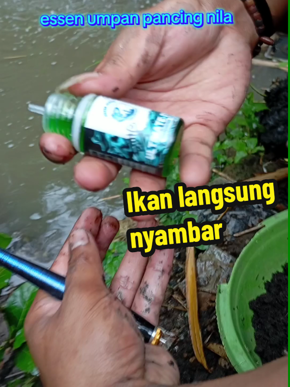 essen umpan pancing bila #ultimatestrike 