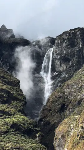 #nature #lowkey77 #relatable 